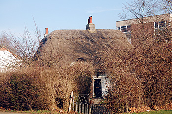 72 Bedford Road March 2012